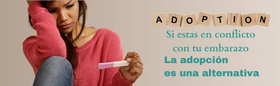 Como puedo dar en adopción a mi bebé en los Estados Unidos