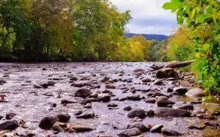 Mejores abogados de divorcio en Abingdon, Virginia
